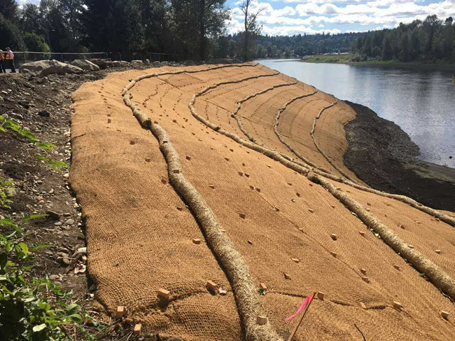 �c���鿴Ԕ����Ϣ���}��ֲ��̺ʩ�� ��x�Δ���2063